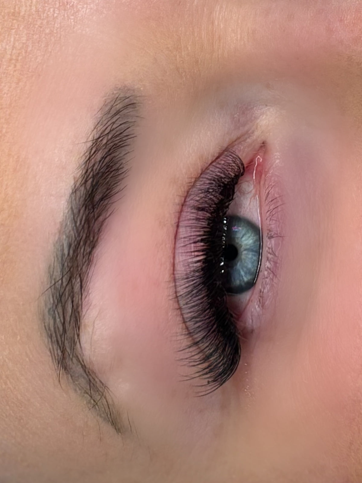 Premade Easy Lashes 6D